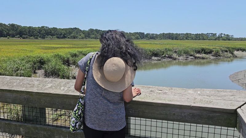 The Maritime Forest Trail Feels Like Another World