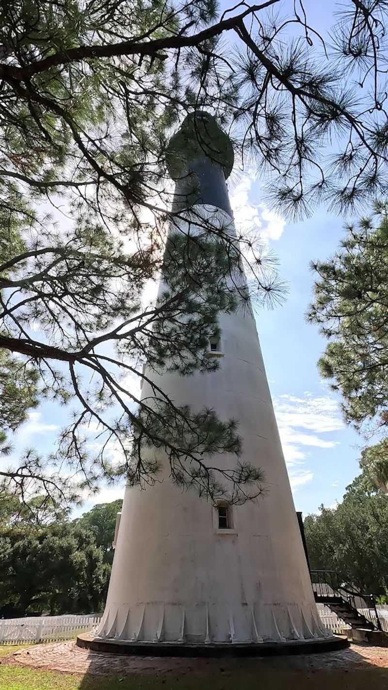 The Maritime Forest Trail Offers A Walk Through Deep Time