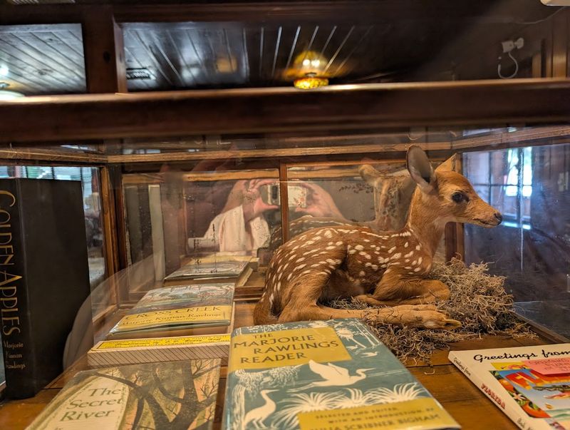 The Marjorie Kinnan Rawlings Connection That Gives This Place Its Name