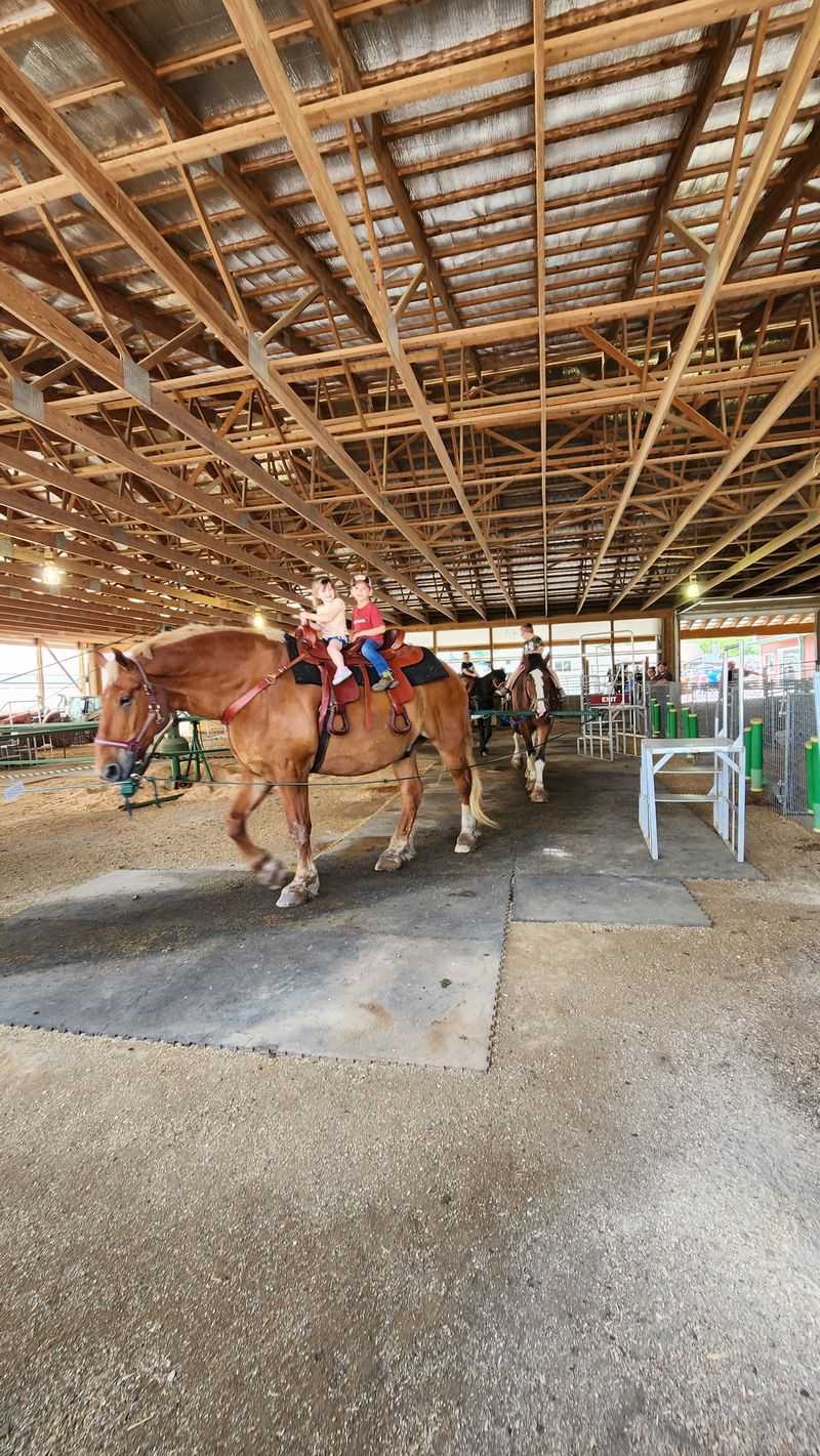 Big Ben and the Petting Zoo Stars