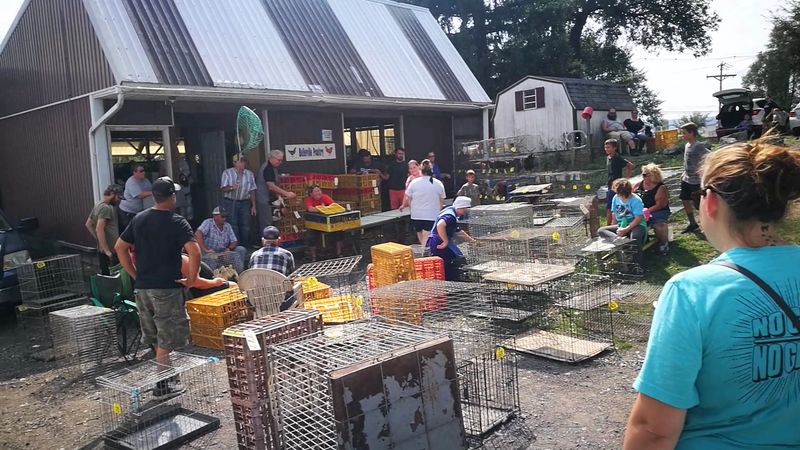 The Market Has Deep Roots In The Local Community