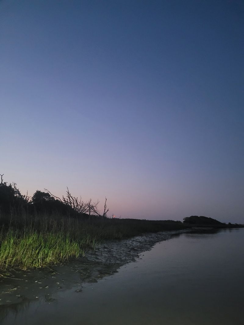 The Marsh Side Gets Eerie Once The Sun Sets
