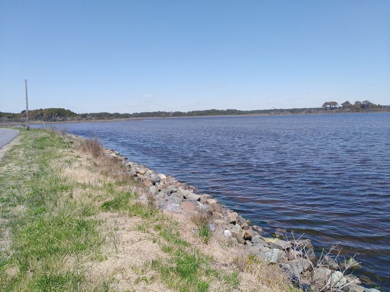 The Marsh Trail And Snow Goose Pool Overlook