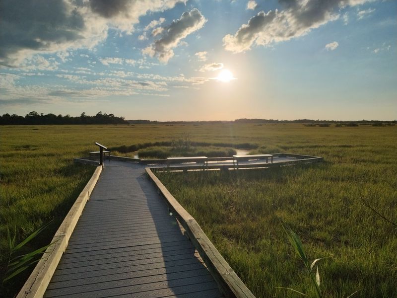 The Marvel Salt Marsh Boardwalk Worth Every Step The Marvel Salt Marsh Boardwalk Worth Every Step