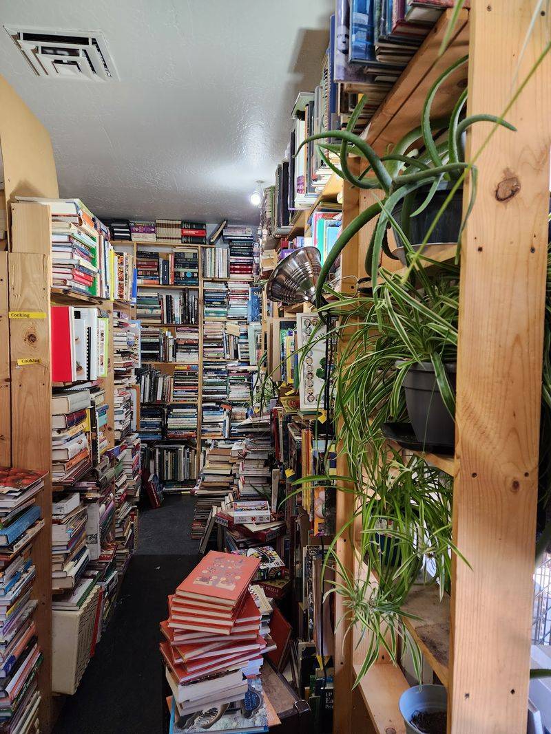 The Maze Of Shelves That Swallows Your Afternoon