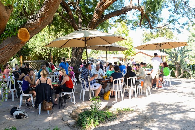 Outdoor Seating That Earns Its Own Fan Club