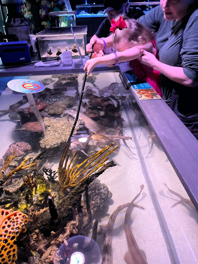 Service Style, Staff Interaction, And Guest Flow