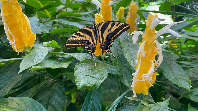 Knowledgeable And Friendly Staff