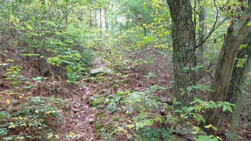The Mid State Trail Runs Right Through It The Mid State Trail Runs Right Through It