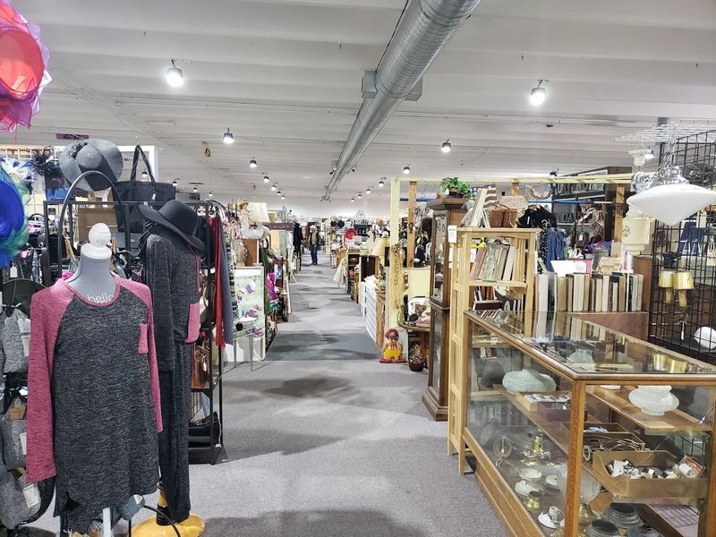 Pricing Reality Check: The Smart Shopper's Honest Assessment