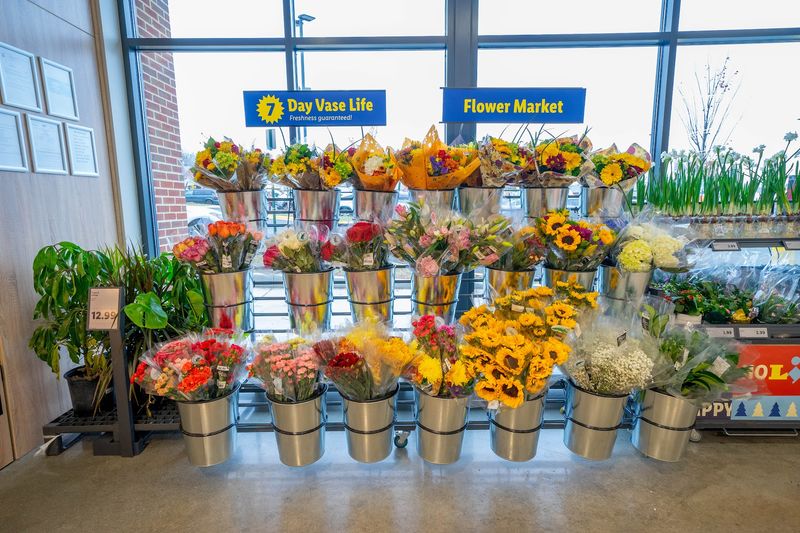 The Middle Aisle, Where Surprises Live