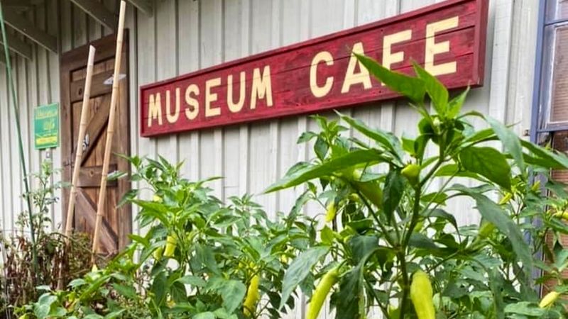 George’s Museum Café (Jackson)