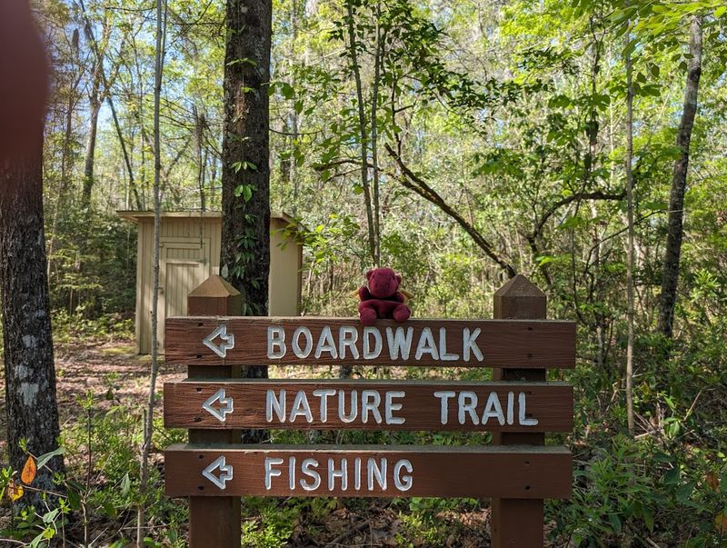 Wildlife Sightings Go Far Beyond Just Alligators