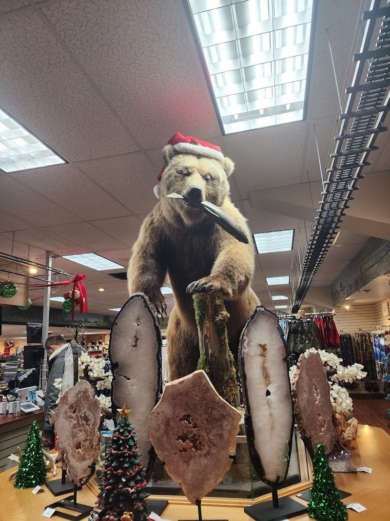 The Gift Shop, Cafe, and On-Site Amenities