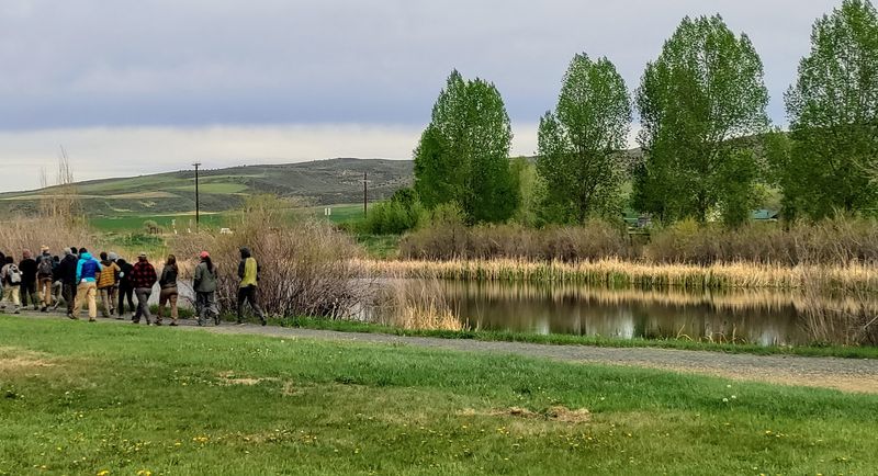 The Mini Plan That Turns A Nature Stop Into A Full Morning
