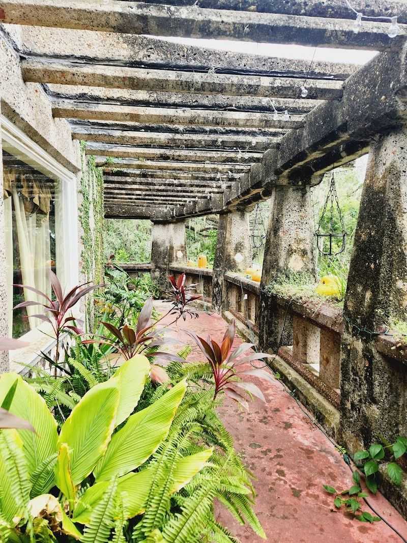 Guided Tours That Feel Like Time Travel