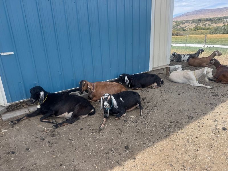 Why Locals Keep Circling Back