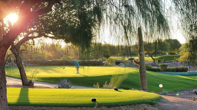 A Desert Masterpiece That Defies Expectations