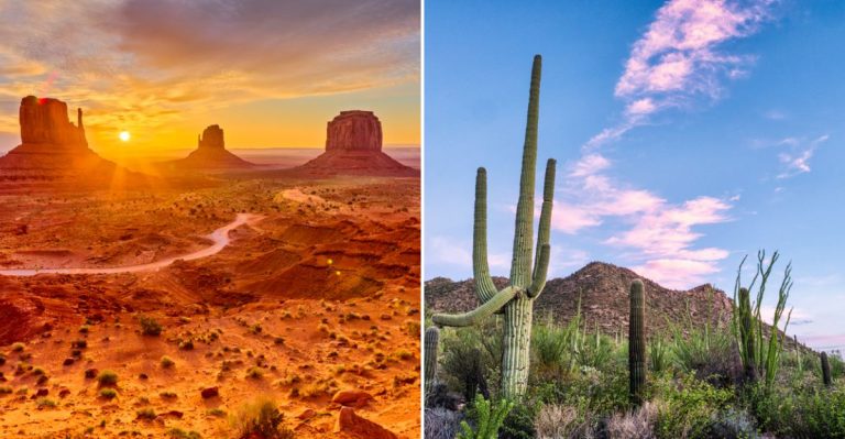 The Most Picturesque Arizona Day Trips You Can’t Miss