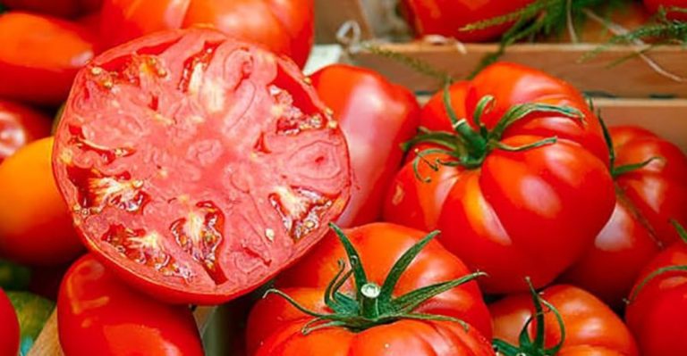 The Most Popular Varieties Of Common Veggies