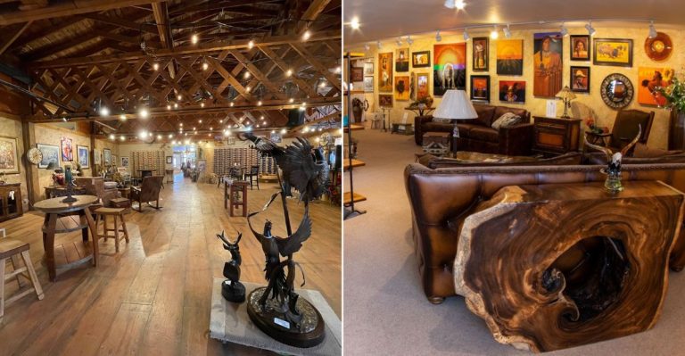 The Most Underrated Sip-And-Savor Corner Of Colorado Might Be Cedaredge