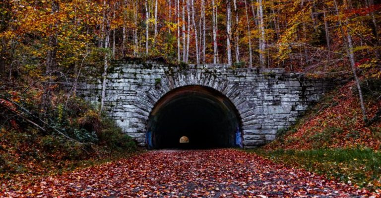 The Most Unique Tunnel In North Carolina Comes With A Fascinating Backstory And Scenic Views