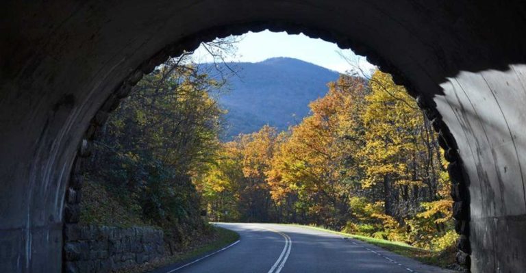 The Most Unique Tunnel In Virginia Comes With A History You’ll Want To See For Yourself