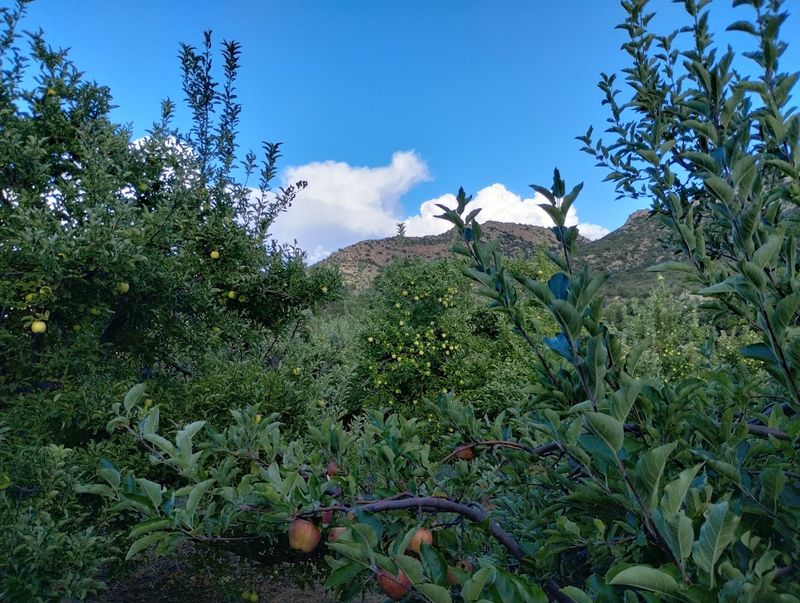 The Mountain Setting That Sets The Mood