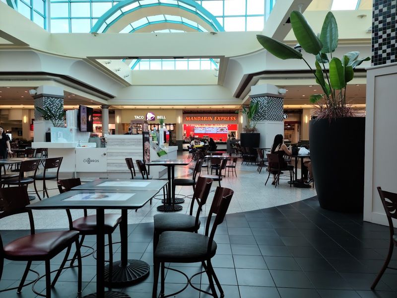The Movie Theater's Stubborn Survival
