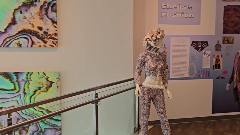 The Museum Features An Educational Short Film Worth Watching