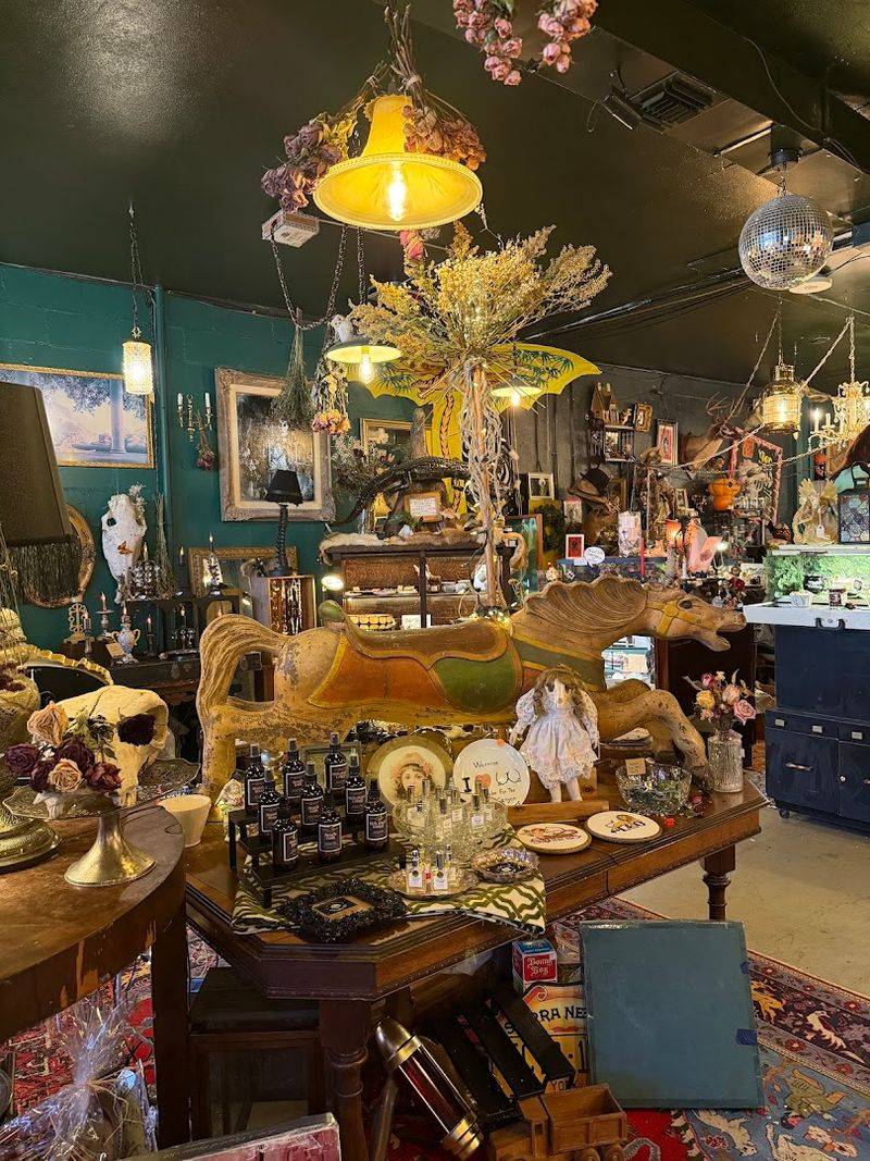 Why Tiger Dust Belongs On Every Florida Bucket List