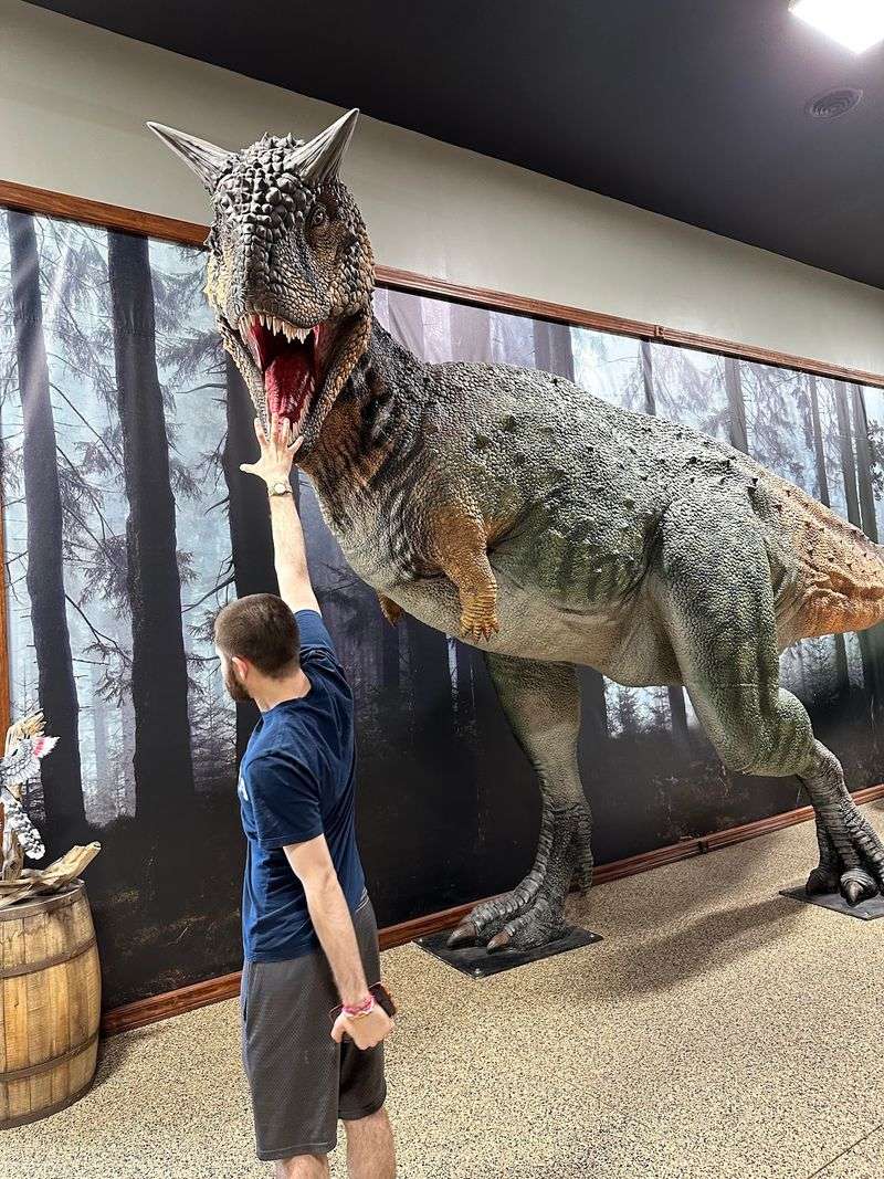 The Museum of Prehistoric Life and Vintage Toys
