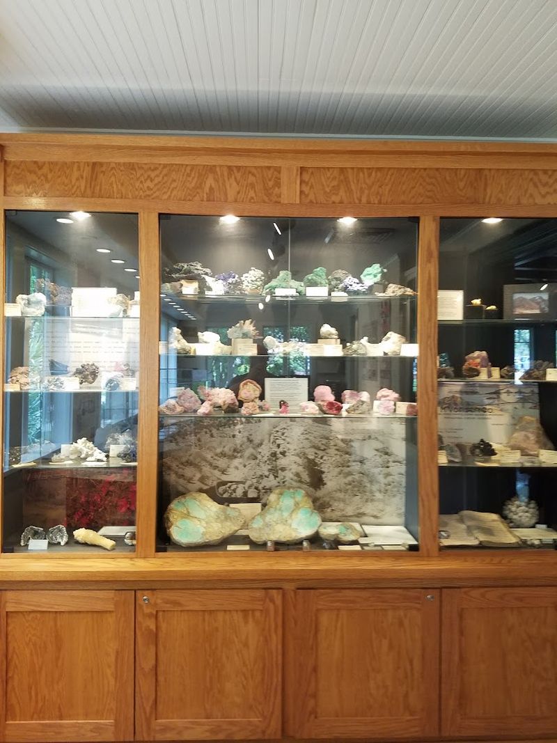 The Museum's Deep Roots In Stetson University History