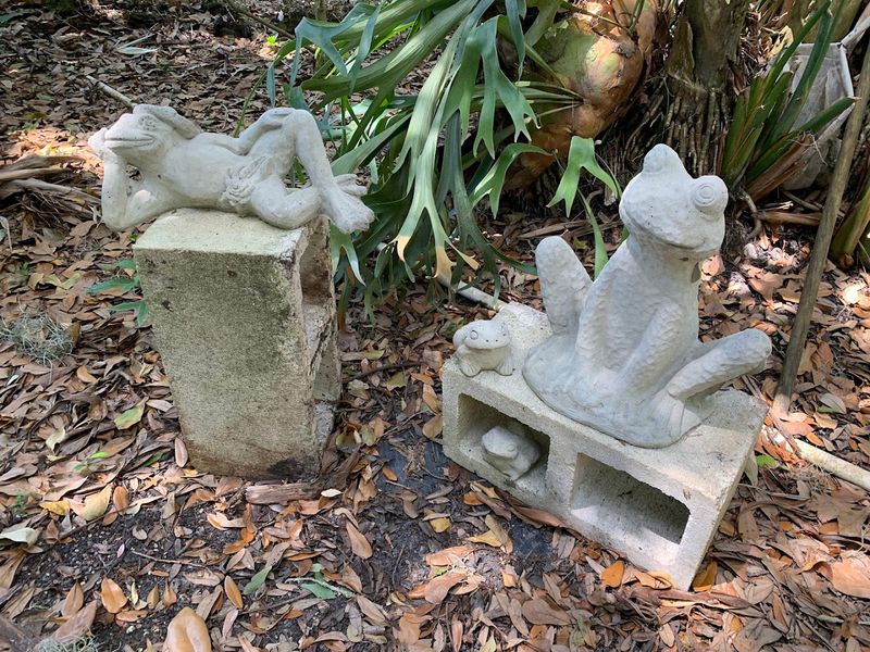 The Petting Zoo That Steals The Show