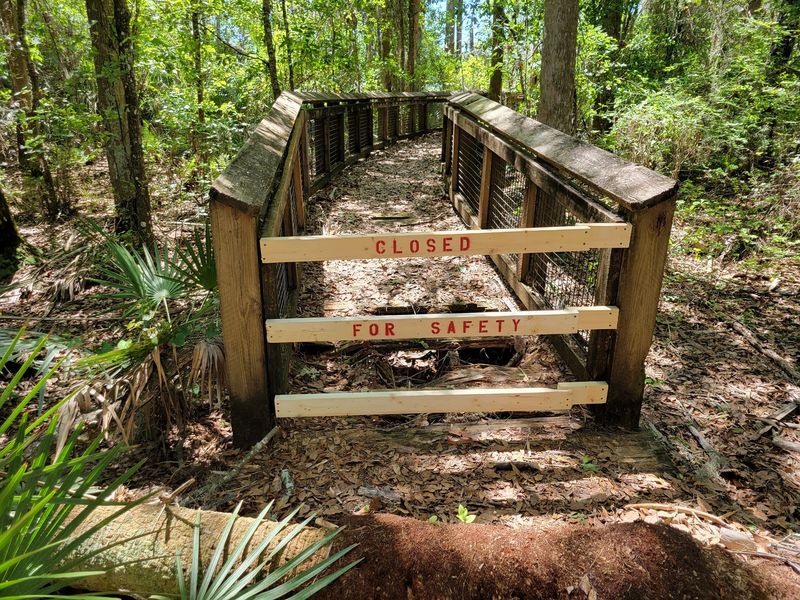 The Mysterious Case Of The Closed Sinkhole