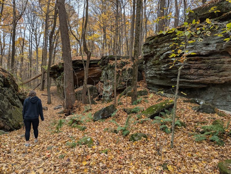 Sandstone Ledges That Time Forgot
