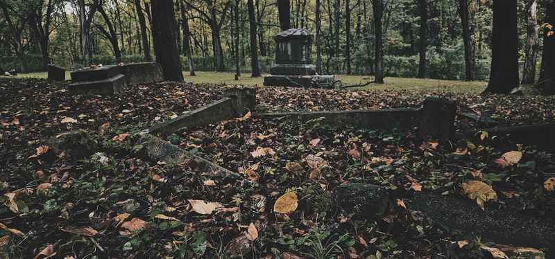 The Famous Madonna Of Bachelor's Grove Photograph