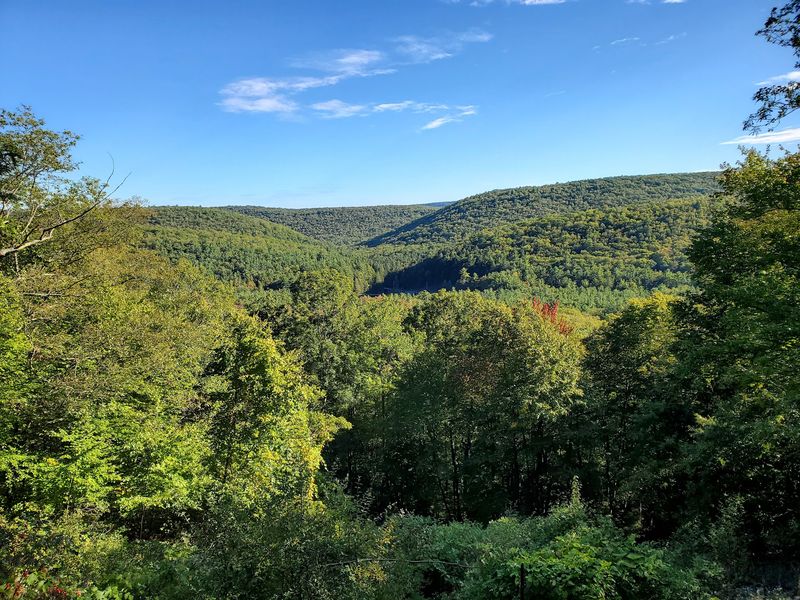 The Mystery of the Missing Dam