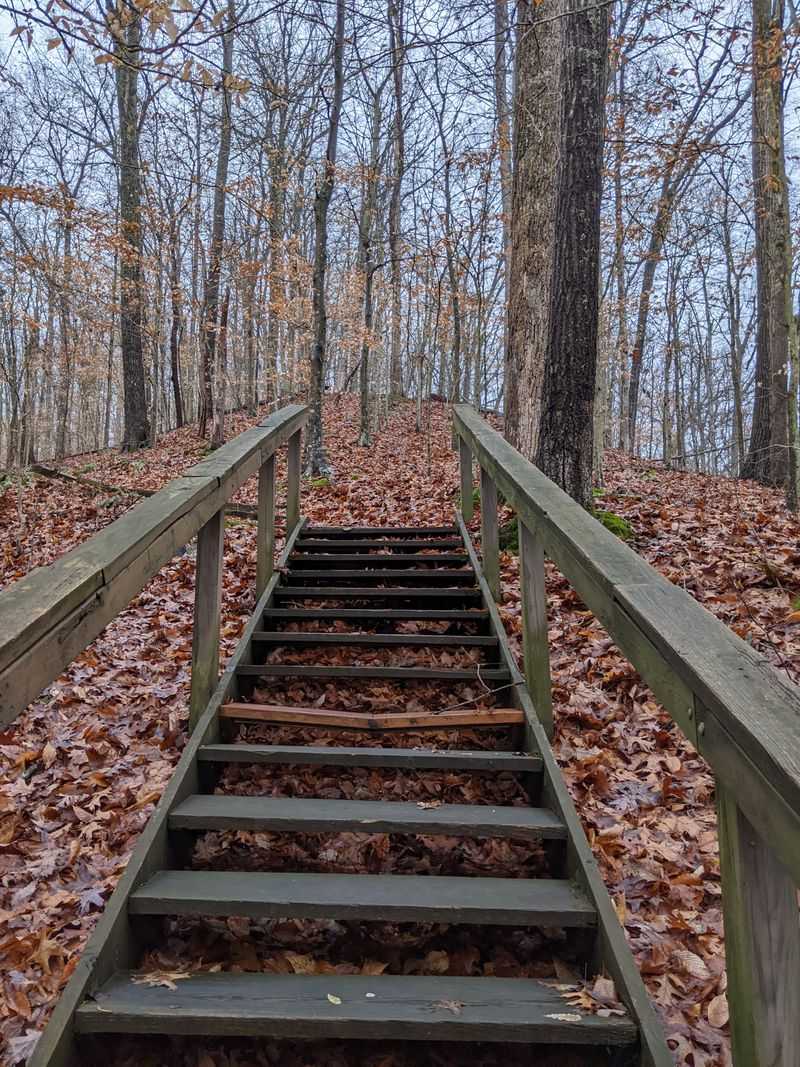 The Union Fire Tower Offers Stunning Views