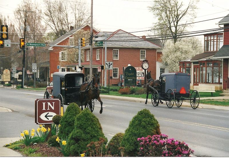 Buggy Traffic Is the Norm Here