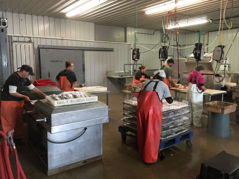 Massey Fish Company, St. Ignace