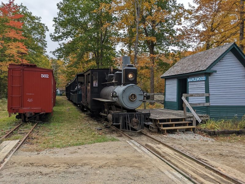 The Narrow Gauge Railroad 