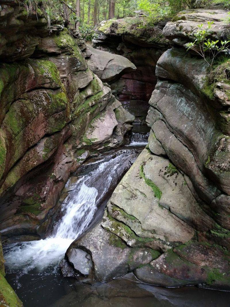 The Natural Pools Are Actually Swimmable