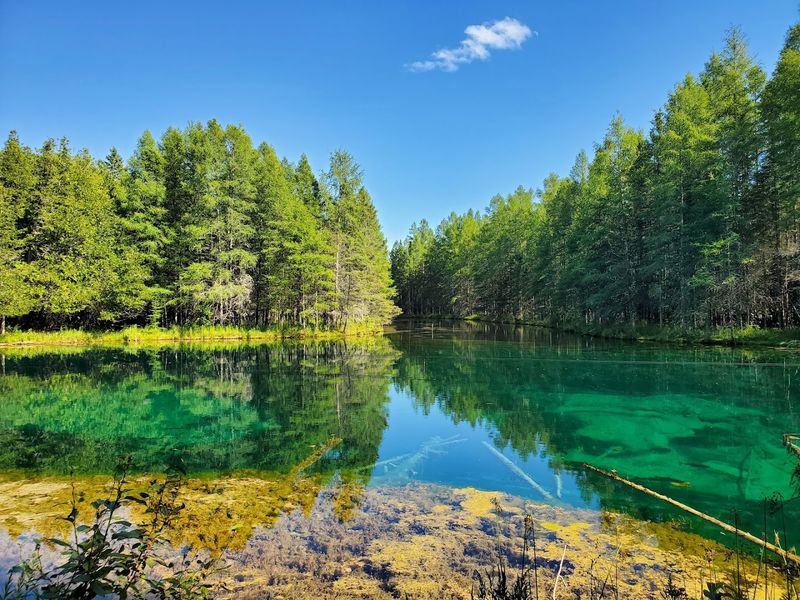 First Glimpse Of The Big Spring