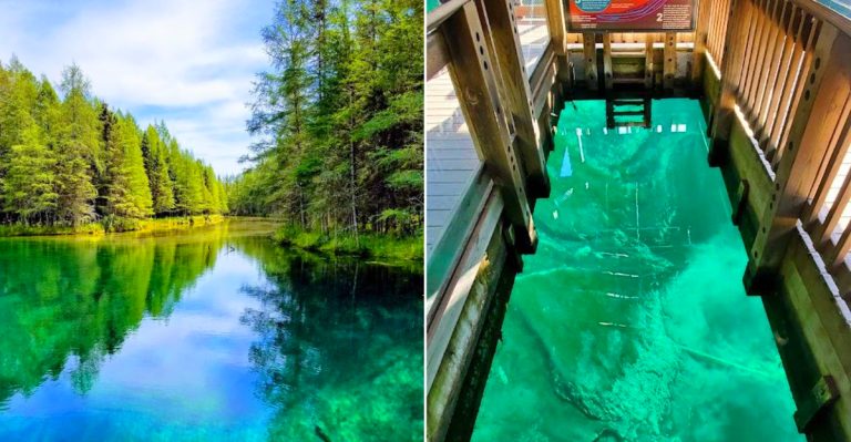 Palms Book State Park