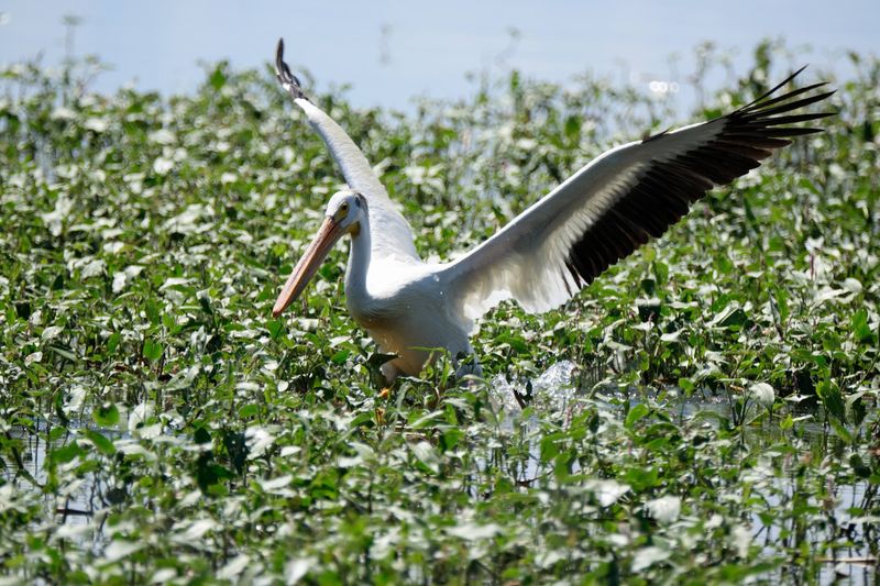A Wildlife Sanctuary Hidden Inside a State Park
