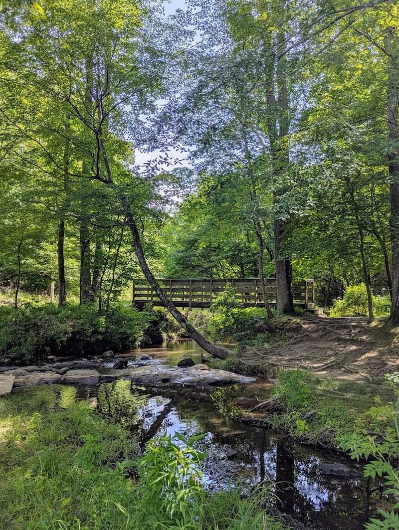 The Nature Trail And Its Famous Tree Roots