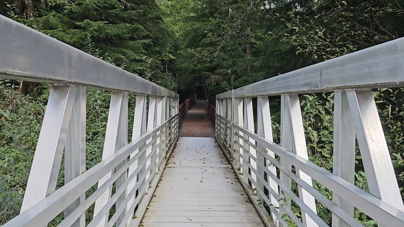 The New Bridge Everyone Seems To Talk About