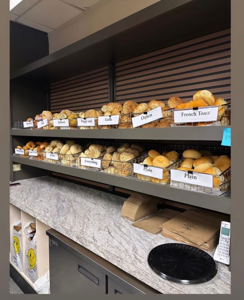 The New Daily Bagel