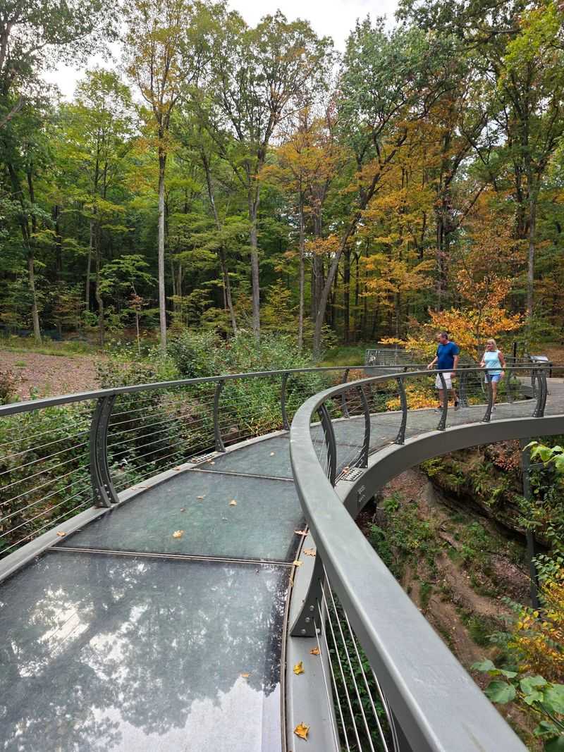The New Glass Walkway Over The Falls